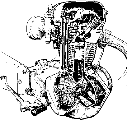 Motor