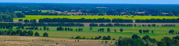 Blick vom hchsten Holzaussichtsturm